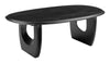 Arasan Coffee Table Black - Cozy Roots Decor