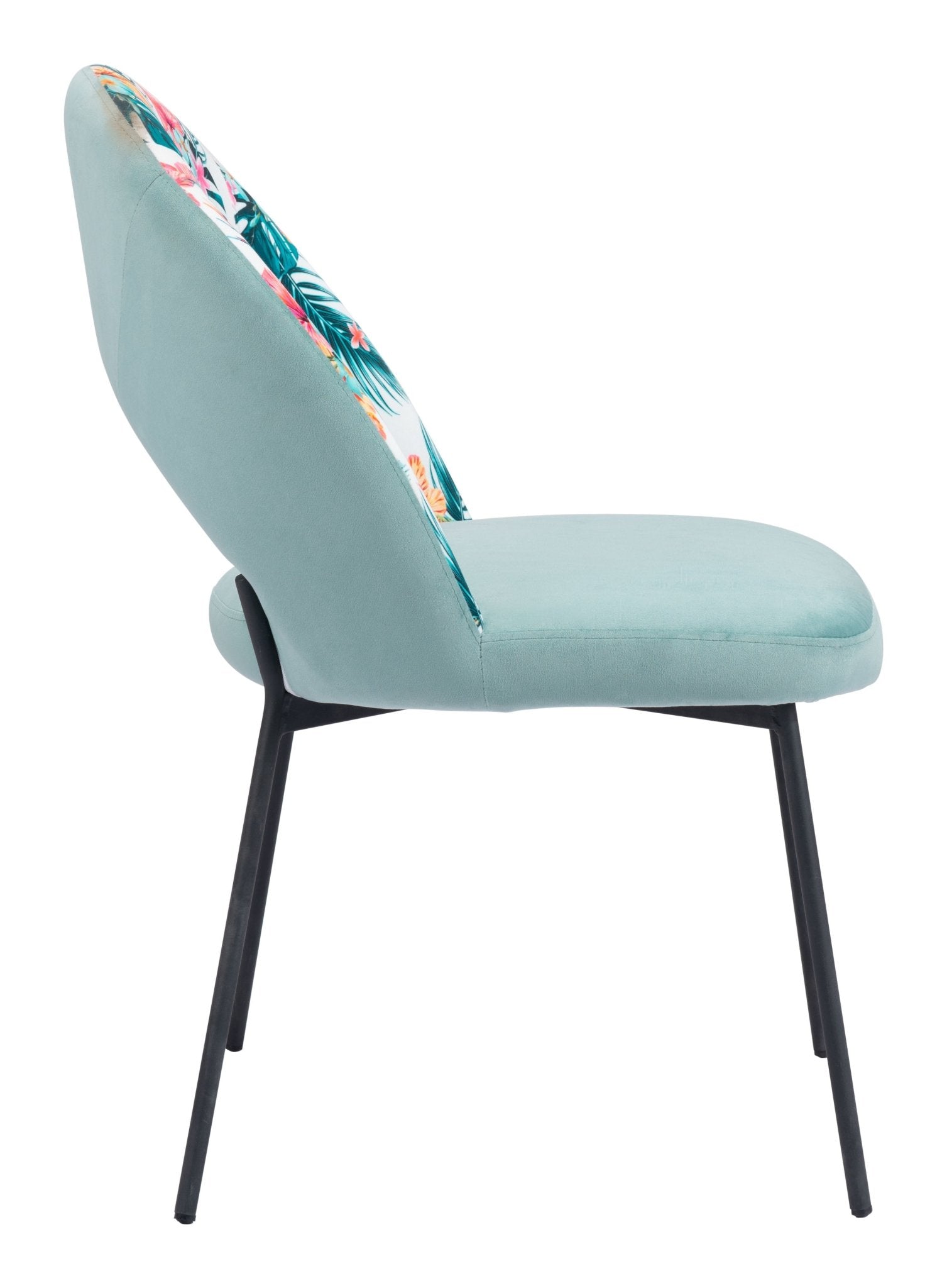 Bethpage Dining Chair (Set of 2) Multicolor Print & Green - Cozy Roots Decor
