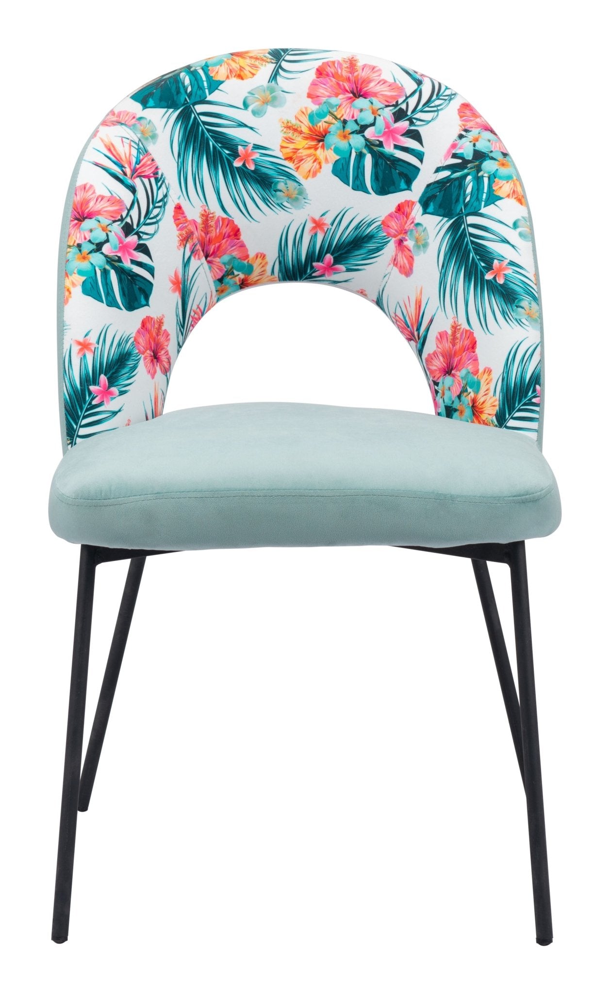 Bethpage Dining Chair (Set of 2) Multicolor Print & Green - Cozy Roots Decor