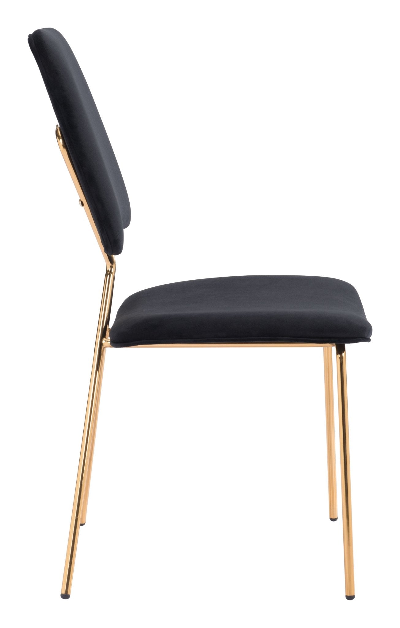 Chloe Dining Chair (Set of 2) Black & Gold - Cozy Roots Decor