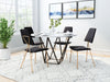 Chloe Dining Chair (Set of 2) Black & Gold - Cozy Roots Decor
