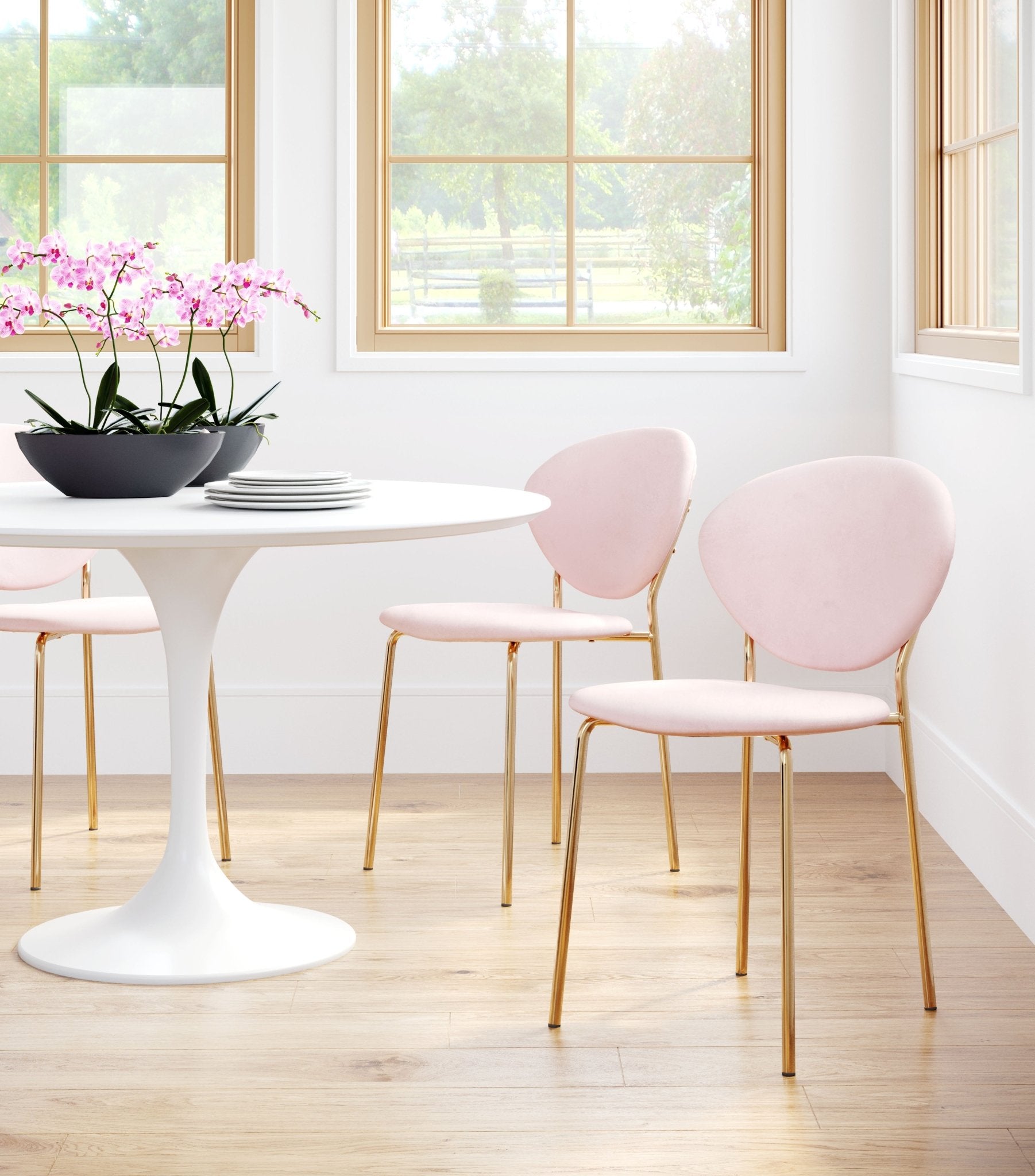 Clyde Dining Chair (Set of 2) Pink & Gold - Cozy Roots Decor