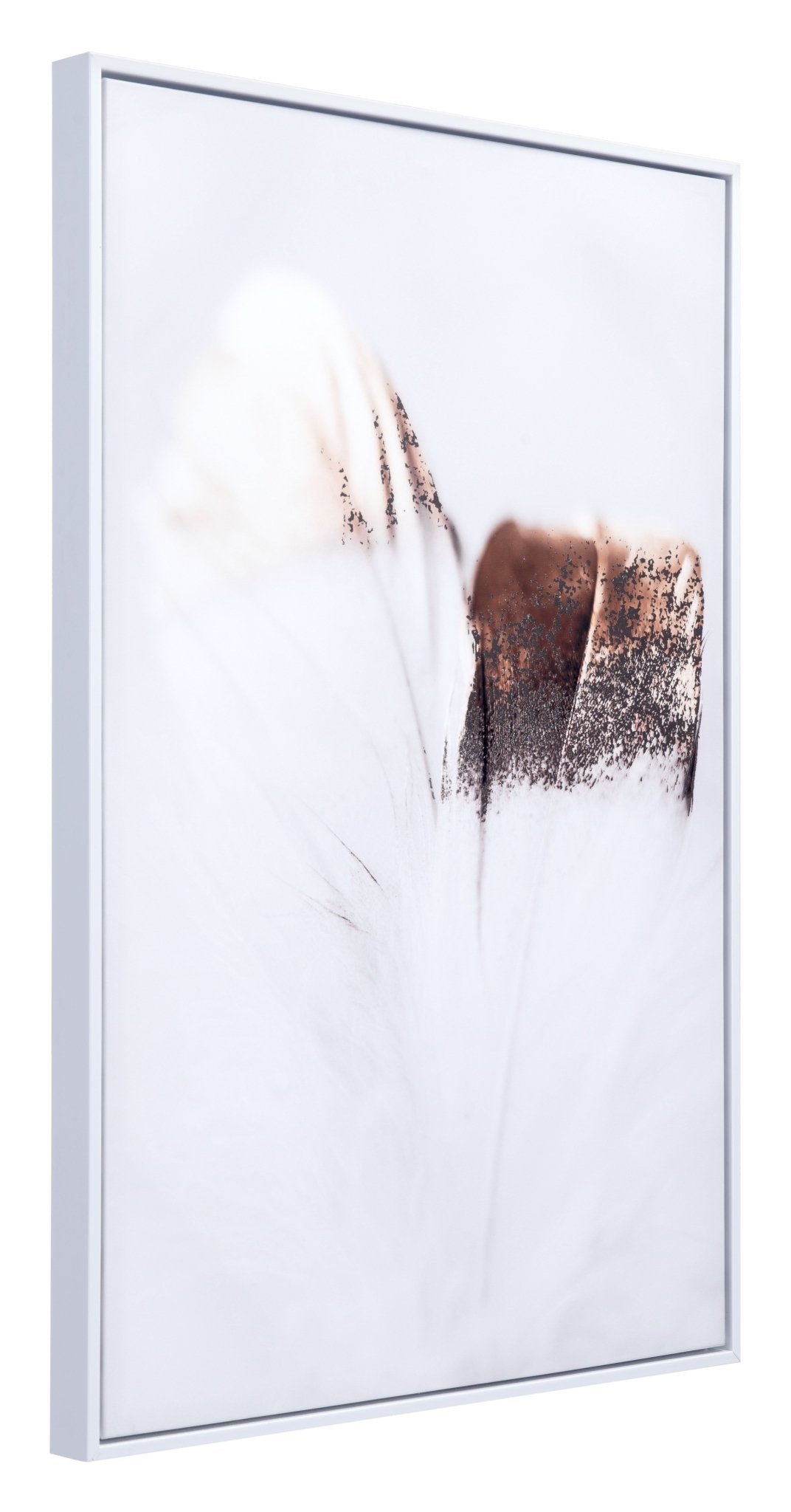 Delicate Feather Canvas Wall Art Multicolor - Cozy Roots Decor