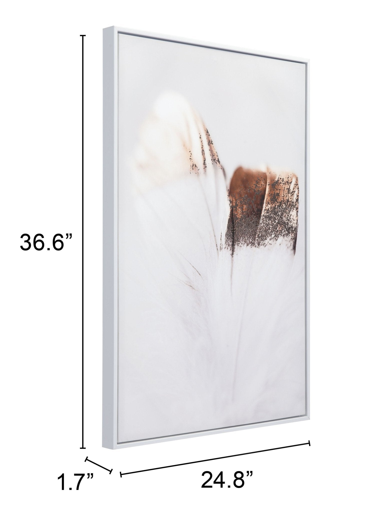 Delicate Feather Canvas Wall Art Multicolor - Cozy Roots Decor