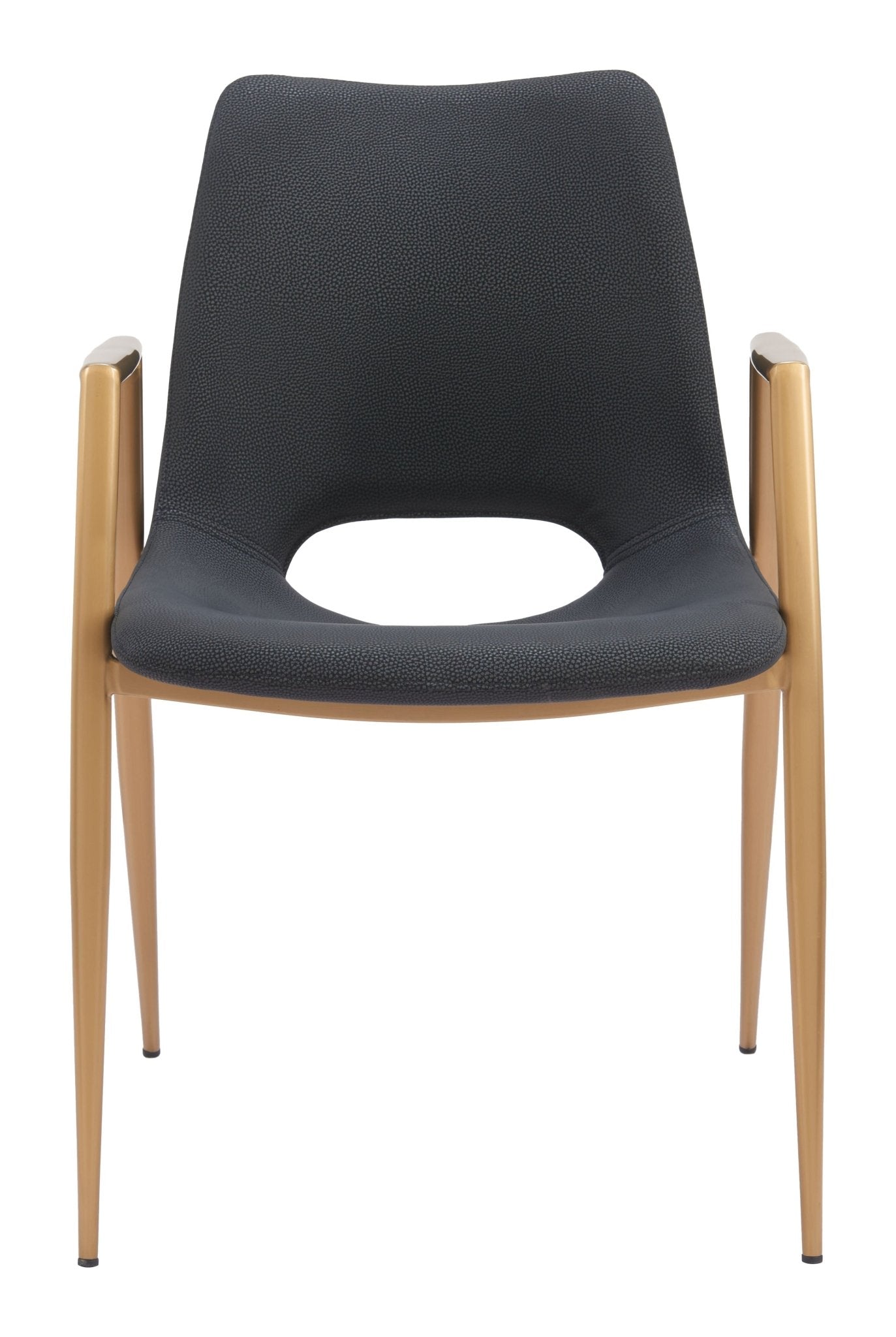 Desi Dining Chair (Set of 2) Black & Gold - Cozy Roots Decor