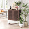 Lazaro Cabinet Bronze - Cozy Roots Decor
