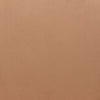 Rosyth Dining Chair Tan - Cozy Roots Decor