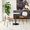 Worcester Dining Chair (Set of 2) Beige & Brown - Cozy Roots Decor